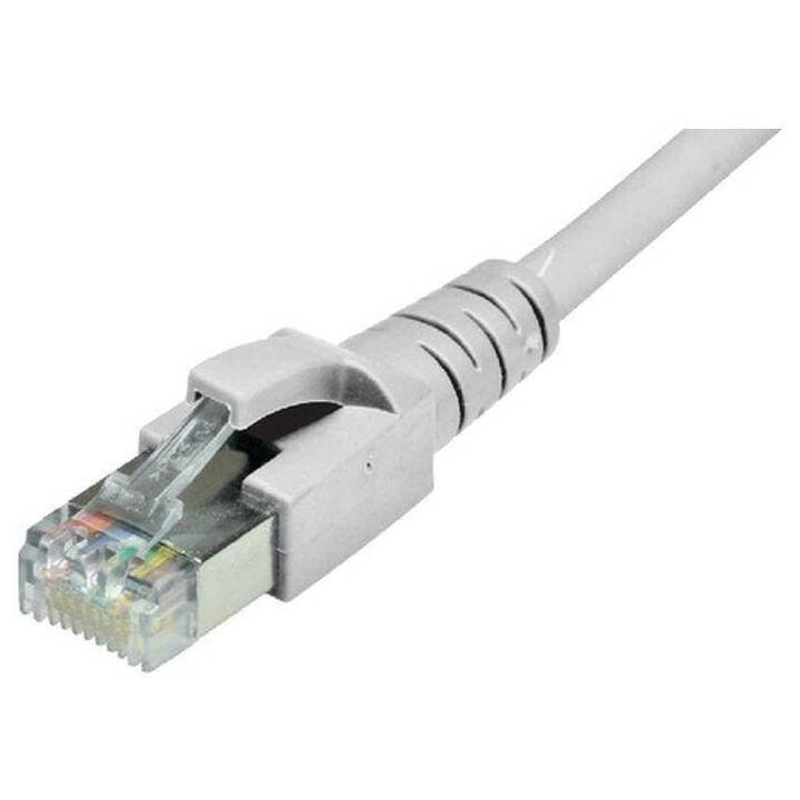 DÄTWYLER Câble de connexion (RJ-45, 0.2 m)