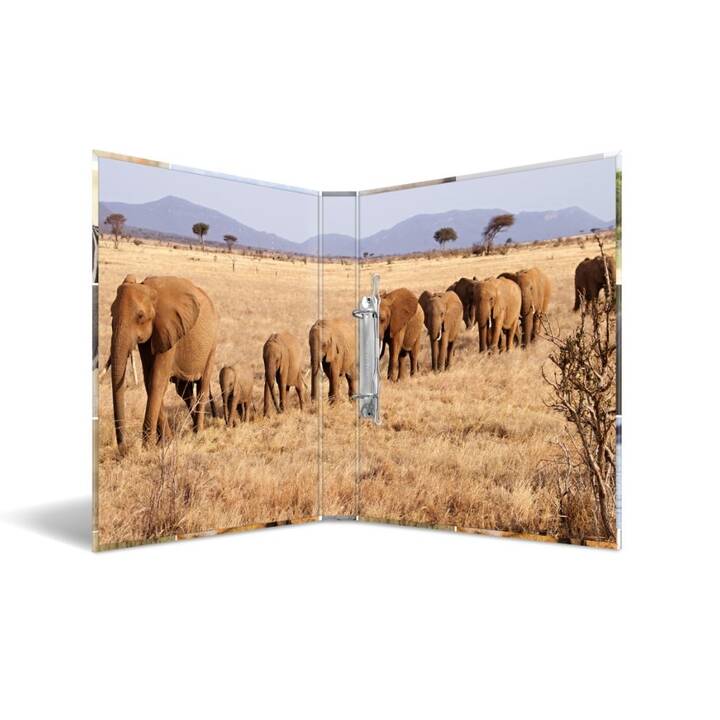 HERMA Couverture à anneaux Afrika 2D (A4, 35 mm, Multicolore)