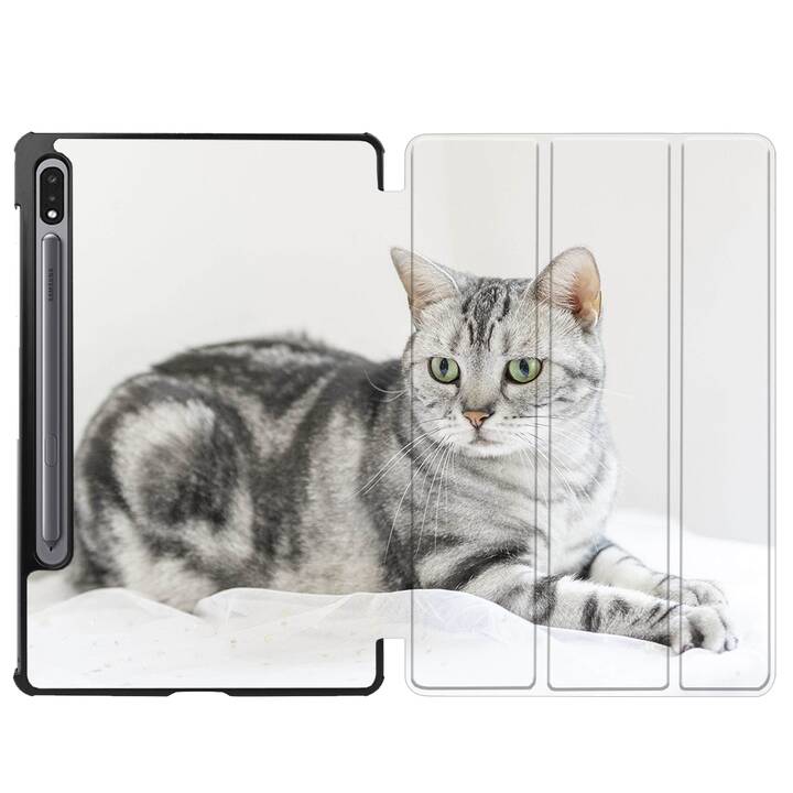 EG Hülle für Samsung Galaxy Tab S8 11" (2022) - Grau - Katzen
