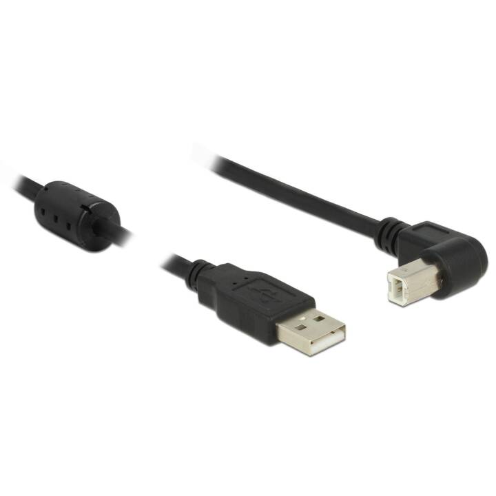 DELOCK Câble USB (USB 2.0 de type A, USB 2.0 de type B, 1.5 m)