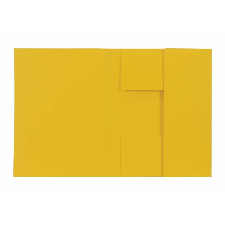 BIELLA Organisationsmappe Recycolor (Gelb, A4, 1 Stück)