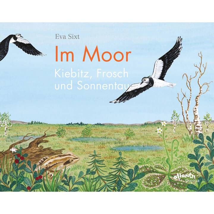 Im Moor - Kiebitz, Frosch und Sonnentau
