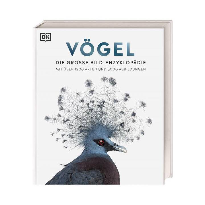 Vögel