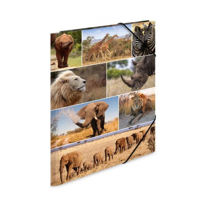 HERMA Dossier à élastique Animals Africa (Multicolore, A3, 1 pièce)