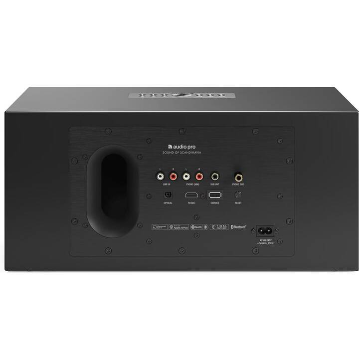 AUDIO PRO C20 Lautsprecher (Schwarz)