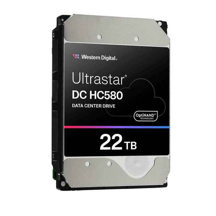 WESTERN DIGITAL Ultrastar DC HC580 (SATA-III, 22000 GB)