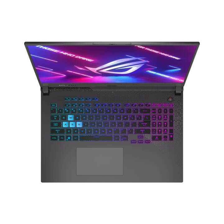 ASUS ROG Strix G17 G713PI-LL005W (17.3", AMD Ryzen 9, 32 GB RAM, 1000 GB SSD)