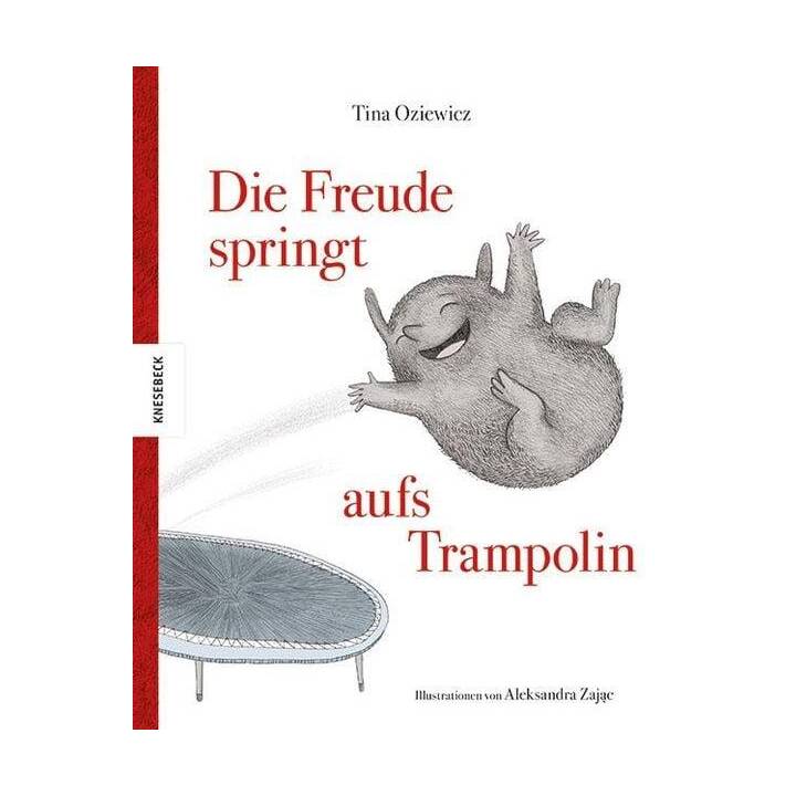 Die Freude springt aufs Trampolin