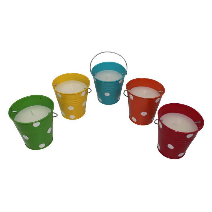 DAMECO Candela in contenitore Citronella (Giallo, Arancione, Verde, Blu, Rosso, 5 pezzo)