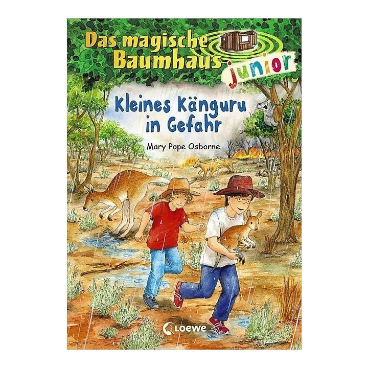 Kleines Känguru in Gefahr (Das magische Baumhaus junior 18)