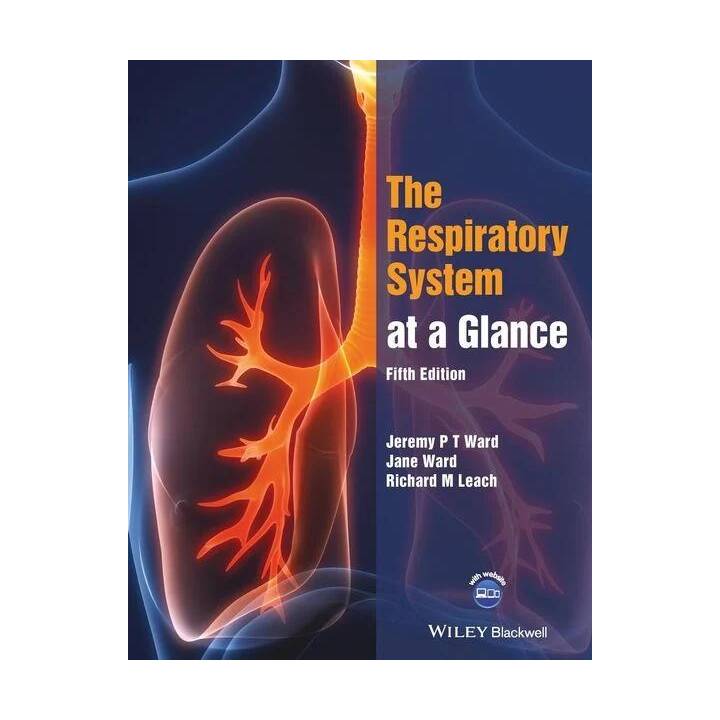 The Respiratory System at a Glance