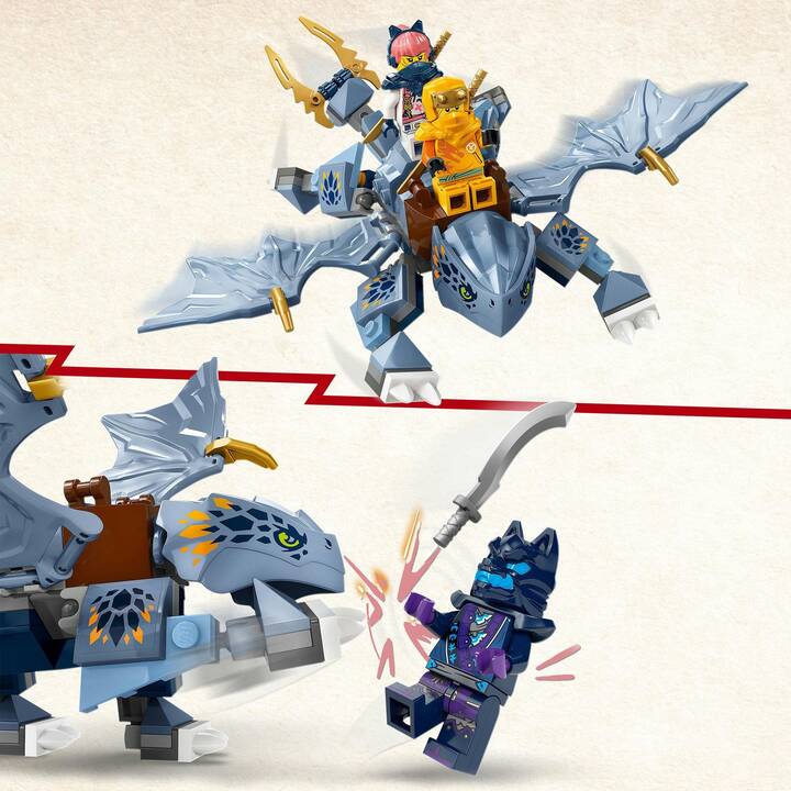 LEGO Ninjago Le jeune dragon Riyu (71810)