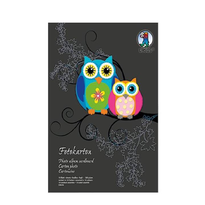 URSUS Carton Special Edition (Multicolore, A4, 10 pièce)
