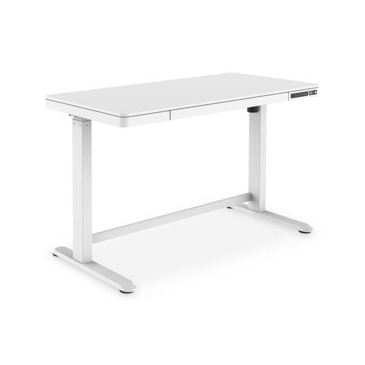 ASSMANN ELECTRONIC table d'ordinateur (Blanc, 120 cm x 60 cm x 121 cm)