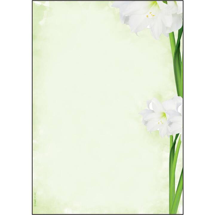 SIGEL Papier spécial Green Flower (Vert, Blanc, A4, 25 pièce)