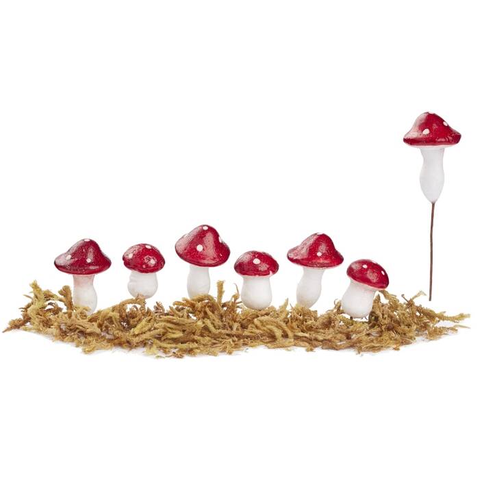 HOBBYFUN Piante in miniatura Deco (Bianco, Rosso)