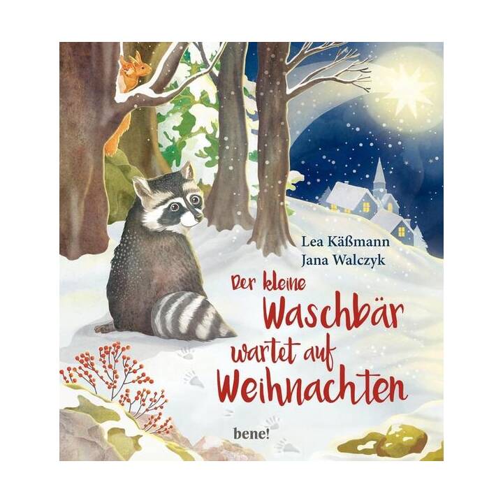 Der kleine Waschbär wartet auf Weihnachten – ein Bilderbuch für Kinder ab 2 Jahren