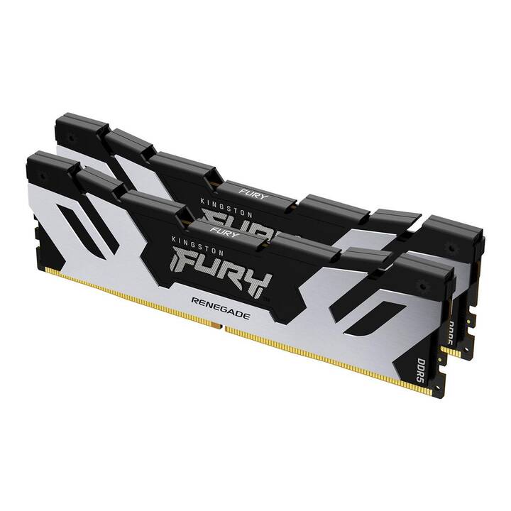 KINGSTON TECHNOLOGY Fury Renegade Silver XMP KF564C32RSK2-96 (2 x 48 Go, DDR5 6400 MHz, DIMM 288-Pin)