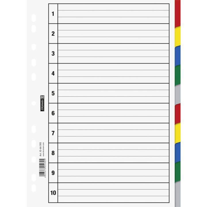 BRUNNEN Register (10 x A4, Farblich)