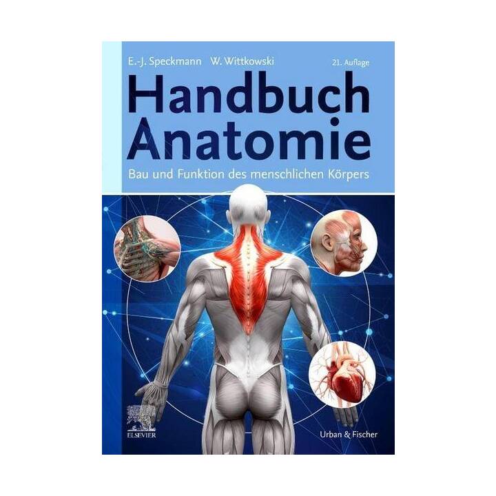 Handbuch Anatomie