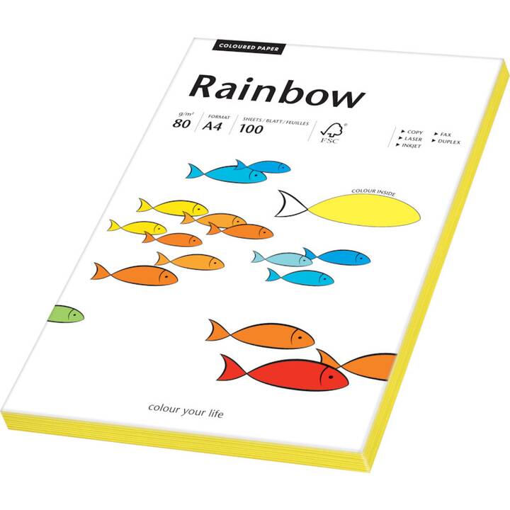 PAPYRUS Rainbow Farbiges Papier (100 Blatt, A4, 80 g/m2)