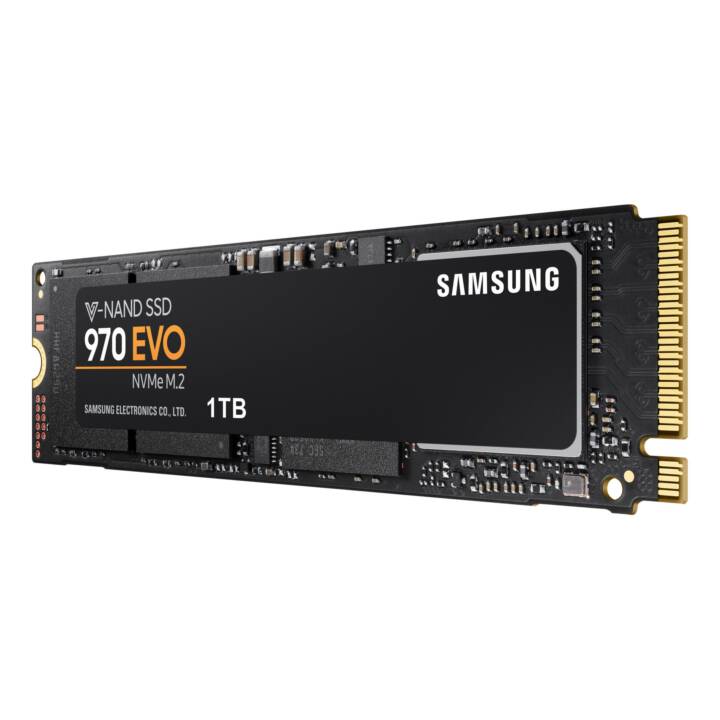 SAMSUNG 970 EVO, 1 TB