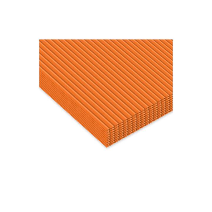 URSUS Carton ondulé (Orange, 10 pièce)