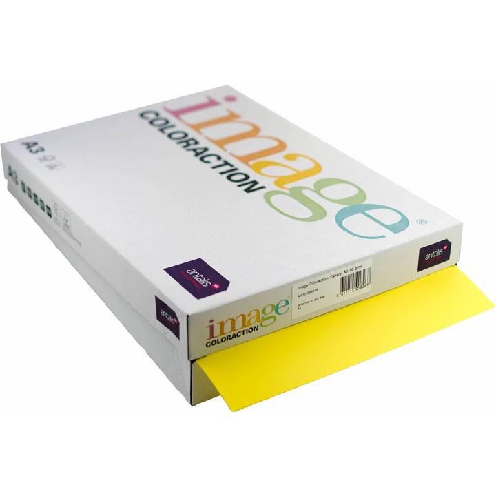 IMAGE Coloration Carta per copia (500 foglio, A3, 80 g/m2)
