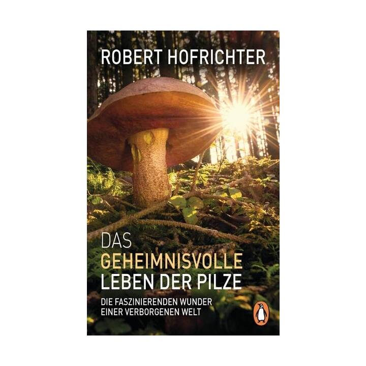 Das geheimnisvolle Leben der Pilze