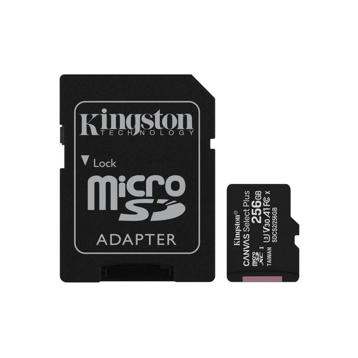 KINGSTON TECHNOLOGY MicroSDXC Canvas Select Plus (Class 10, 256 Go, 100 Mo/s)