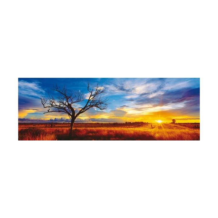 CARLETTO Desert Oak at Sunset. Puzzle (1000 x)