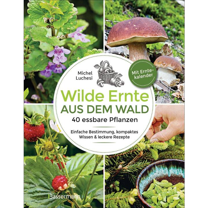 Wilde Ernte aus dem Wald - 40 essbare Pflanzen - einfache Bestimmung, kompaktes Wissen und leckere Rezepte
