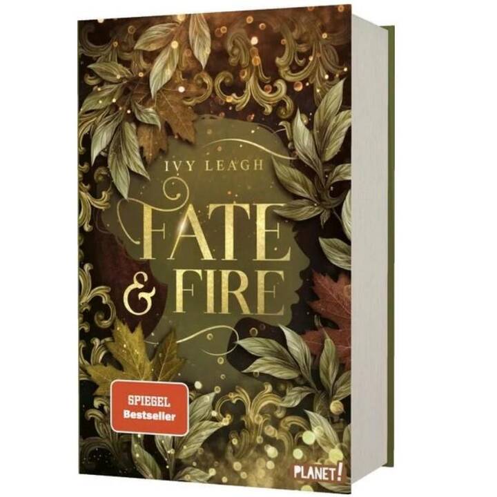 Die Nordlicht-Saga 1: Fate and Fire