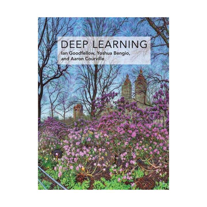 Goodfellow, I: Deep Learning