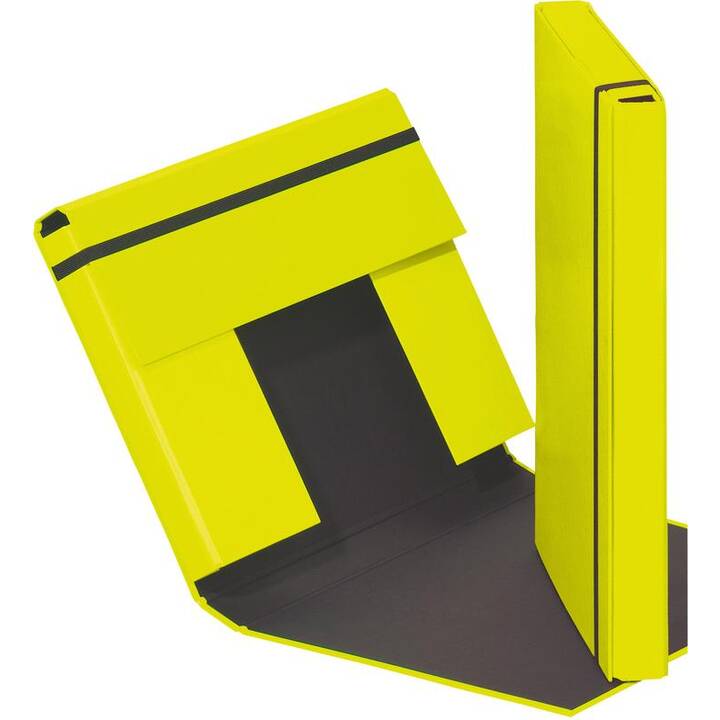 PAGNA Heftbox (Gelb, Grün, A4, 1 Stück)