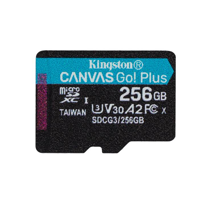 KINGSTON TECHNOLOGY MicroSD Canvas Go! (Class 10, 256 Go, 170 Mo/s)