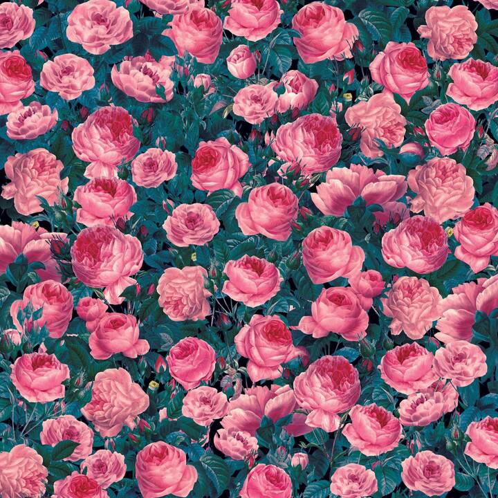 CRICUT Film de bricolage Cabbage Rose (30.5 cm x 30.5 cm, Bordeaux, Rouge, Multicolore)