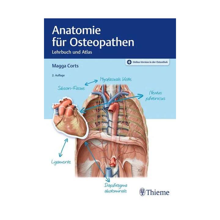 Anatomie für Osteopathen