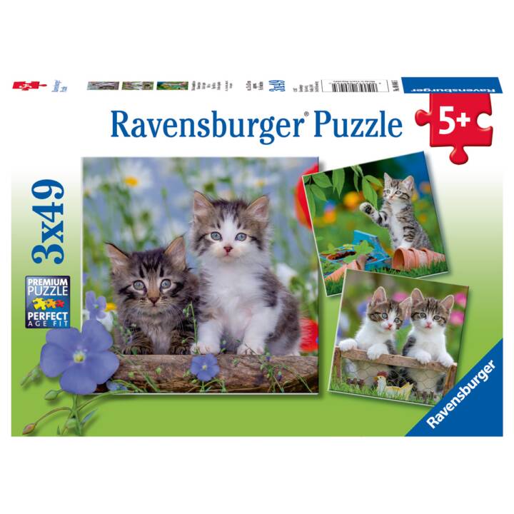 RAVENSBURGER Animaux Puzzle 3D (3 x 147 x, 49 x)