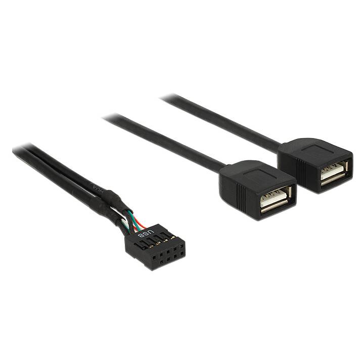 DELOCK USB-Kabel (USB-Pinheader, USB Typ-A, 0.4 m)