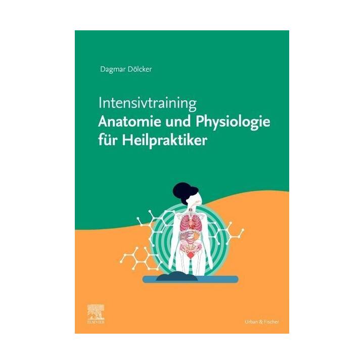 Intensivtraining Anatomie und Physiologie für Heilpraktiker