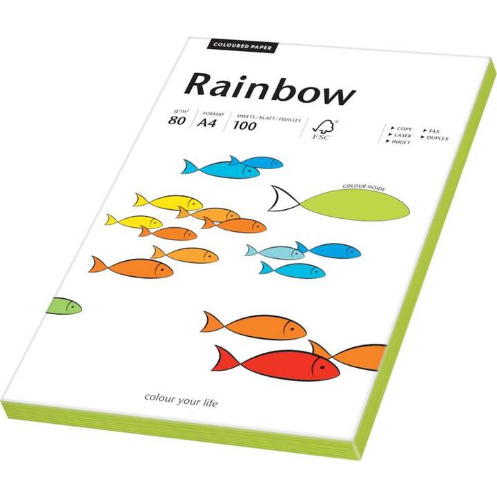 PAPYRUS Rainbow Carta colorata (100 foglio, A4, 80 g/m2)