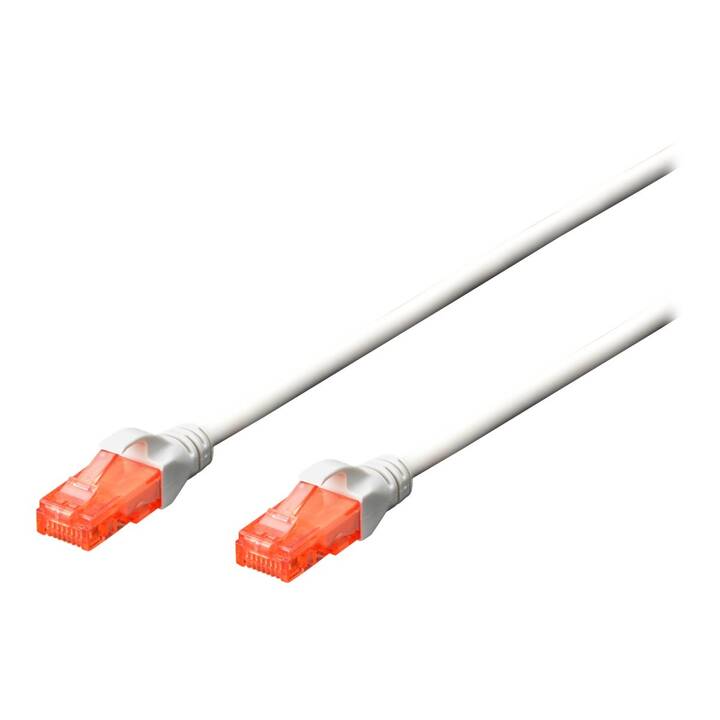 ASSMANN ELECTRONIC Professional CAT 6 U-UTP Câble réseau (RJ-45, 1 m)