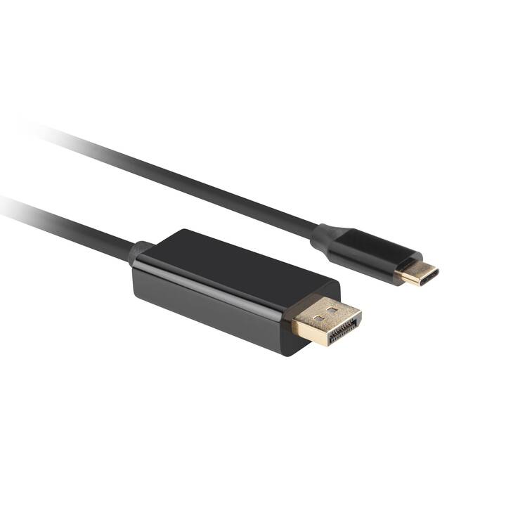 LANBERG Adapter (USB C, DisplayPort, 0.5 m)