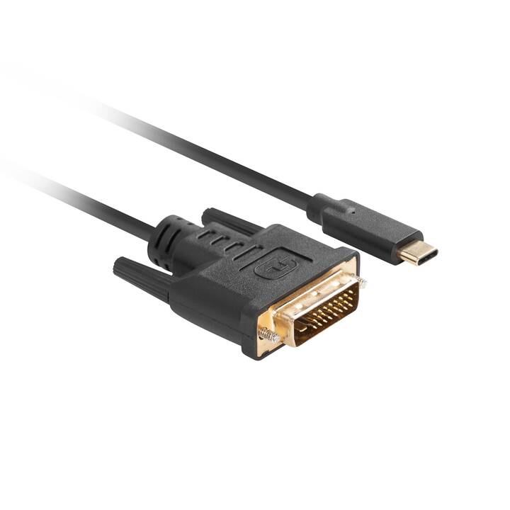 LANBERG Verbindungskabel (USB C, DVI-D, 0.5 m)