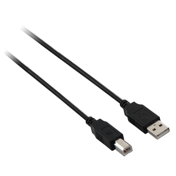 VIDEOSEVEN Câble USB (Fiche USB 2.0, Fiche USB 2.0 de type B, 3 m)