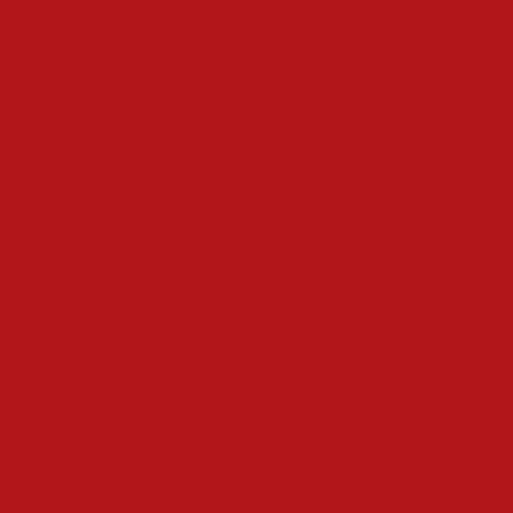 AMSTERDAM Colore acrilica (2 x 500 ml, Rosso, rosso scuro)