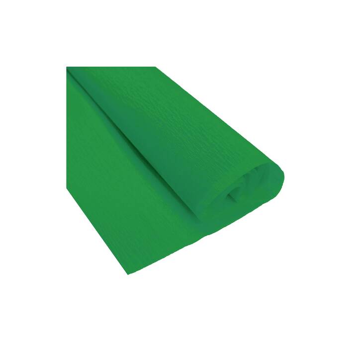 URSUS Carta crespata  500 x 2500  (Verde scuro, Verde)