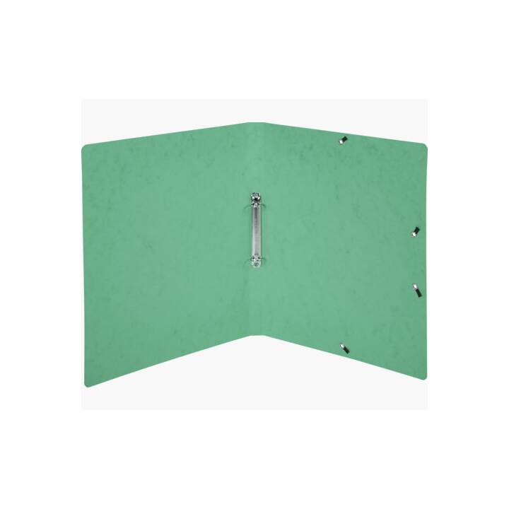 EXACOMPTA Raccoglitore ad anelli Top Color (A4, 20 mm, Verde)