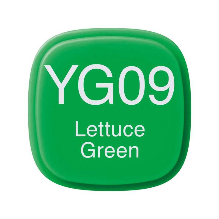COPIC Marqueur de graphique Classic YG09 Lettuce Green (Vert, 1 pièce)